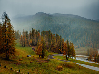 Goldener Herbst bei strömenden Regen in den Bergen - 666461677