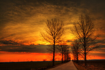 Landscape sundown in river valley, Poland Europe, amazing red sky and trees autumn time Poland Europe	
