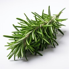 Rosemary Herb Isolated Grid, Hd , On White Background 