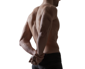 Attractive muscular sensual man posing back view