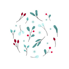 Set of northern plants, leaves, berries, branches. Autumn and winter floral elements vector design elements.