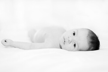 newborn in studio lighting against white