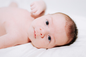 portrait of a newborn in studio lighting against white