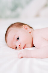 portrait of a newborn in studio lighting against white