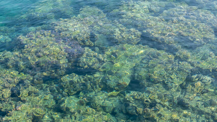 photo from above the coral reef by the beach