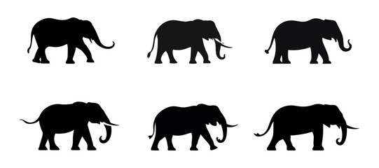 Set elephant silhouette icon isolated. Vector illustration