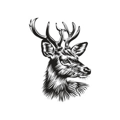 head of a deer Vector Art design