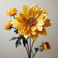 Flower That Is Yellow Has Green, Hd , On White Background 