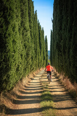 nice senior woman riding her electric mountain bike in a cypress avenue in the Ghianti Area of Tuscany,Italy - obrazy, fototapety, plakaty