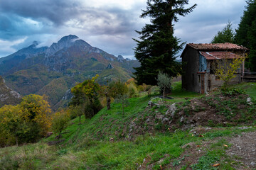 Mountain view in autumn