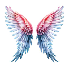 Elegance in Angelic Wing Clipart on White Background
