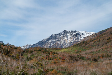 紅葉を見ながら散策する　栂池高原
