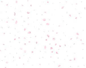 Falling realistic cherry petals.