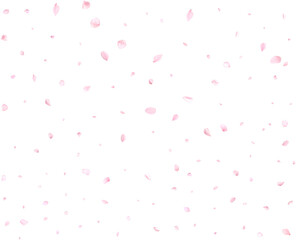 Falling realistic cherry petals.