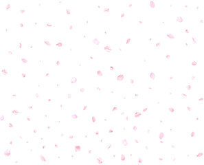 Beautiful delicate cherry petals.