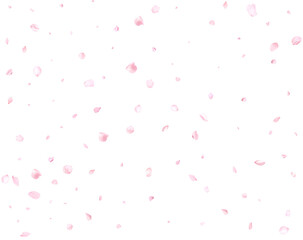 Beautiful delicate cherry petals.