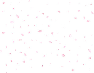 Beautiful delicate cherry petals.