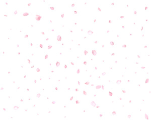 Beautiful delicate cherry petals.