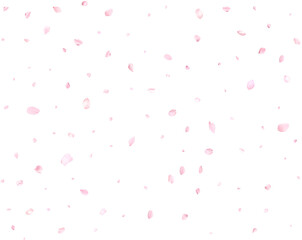 Beautiful delicate cherry petals.