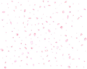 Realistic pink cherry petals.