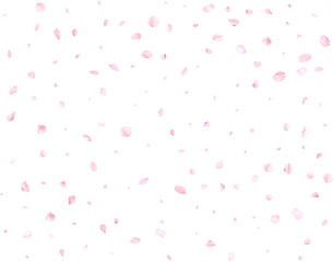 Realistic pink cherry petals.