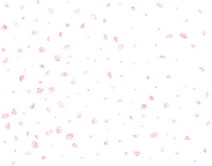 Realistic pink cherry petals.