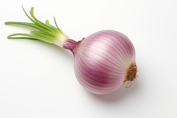 red onion on a white background with green onion arrows,top view