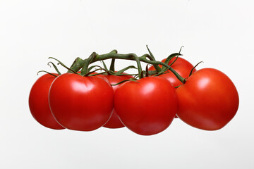 tomatoes on a branch - 666503271