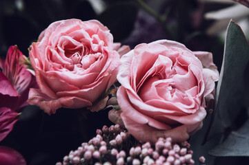 Beautiful bouquet of roses, gypsophila and other different flowers on dark background