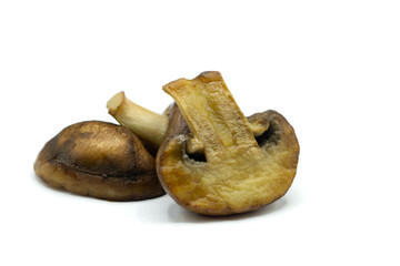 mushrooms on a white background