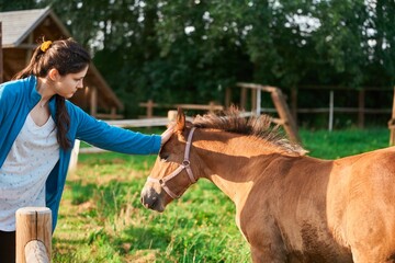 Woman Bonds with Brown Horse in Animal Therapy. Tranquil Connection. Rehabilitation and Friendship with a Brown Horse