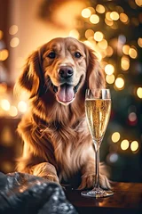 Poster Cute funny dog with holiday Christmas lights on background. Adorable golden retriever dog with a glass of champagne celebrating the new year © ita_tinta_