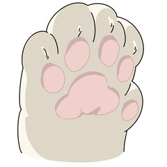 Animals and dinosaurs 