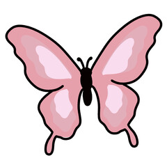 Animals and dinosaurs 