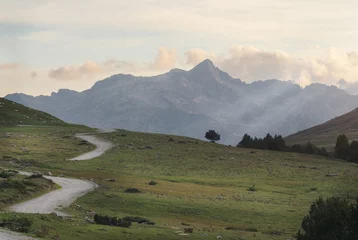 Foto op Canvas Paisaje de camino yendo hacia las montañas con el atardecer © Juan