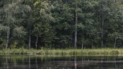 Obraz premium the pond