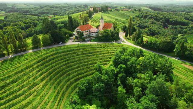 Aerial view of the Church and green vineyards, Jeruzalem winery region, Slovenia