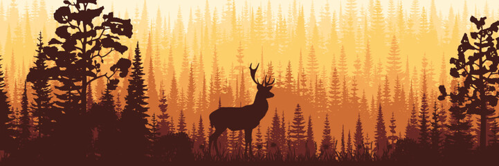 Deer in the forest, morning light, panoramic view, vector illustration	