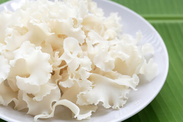 Cauliflower mushroom or cauliflower fungus
