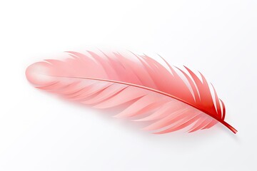 coral pink plume on white backdrop