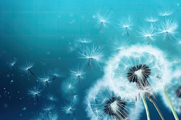 Dandelion seeds blowing in blue background