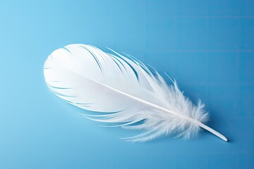 Blue background with white bird feather