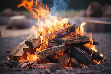 Tuinposter Bonfire made from fruit tree branches sawn apricot wood Preparing coals for barbecue close up selective focus © VolumeThings