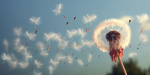 Fotobehang Dandelions blowing © candra