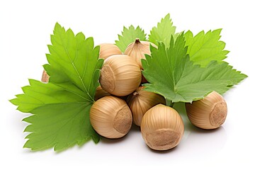 Isolated brown nuts with green leaves on white background