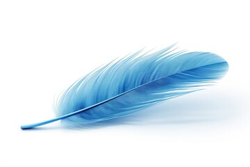 Isolated blue feather on white