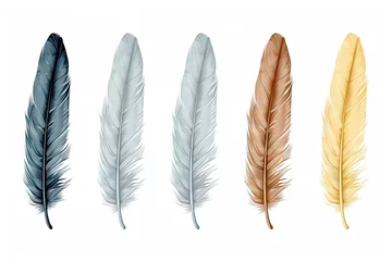 Raamstickers Veren isolated white feather set