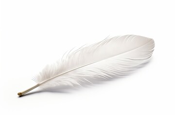 Single white feather on white backdrop