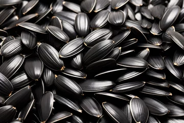 Poster Sunflower black seeds in a close up capture isolated on a white background © VolumeThings