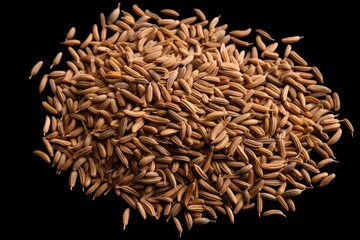 White background top view of macro caraway seeds and macro cumin seeds isolated - obrazy, fototapety, plakaty